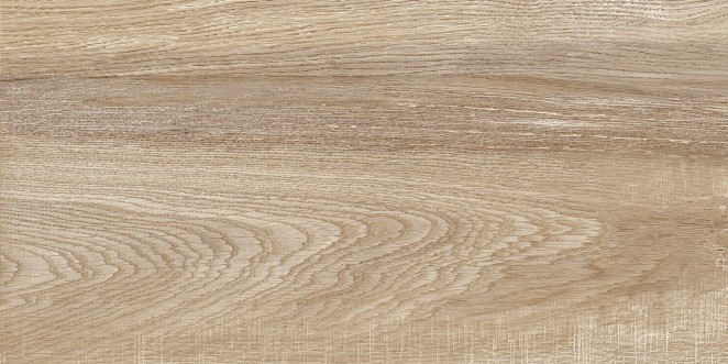 Alma Ceramica Euphoria TWU2550EPH40 плитка облицовочная рельефная 24.9х50