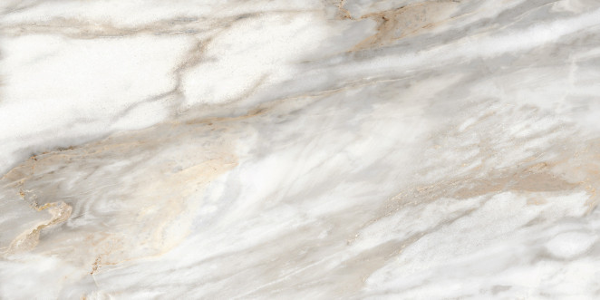 Alma Ceramica Euphoria TWU2550EPH74 плитка облицовочная 24.9х50
