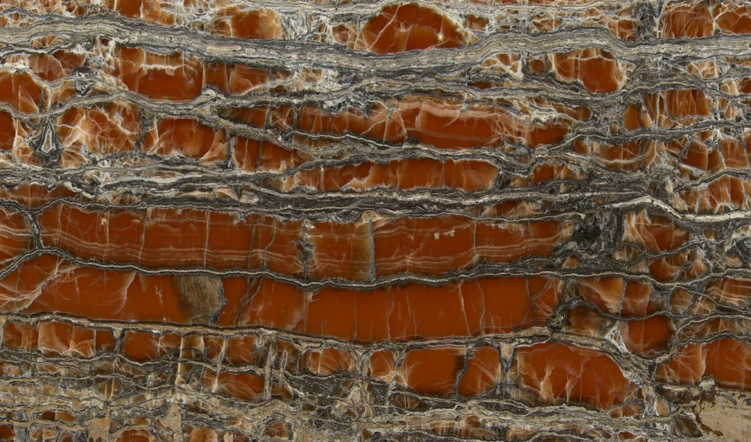 VEIN CUT