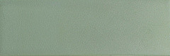 WOW Bits Kale Matt 3.7x11.6