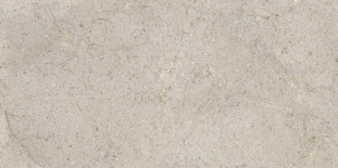 Porcelanosa Dorcia Acero L 59.6x120