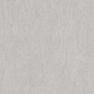 ABK POETRY STONE RELOADED Poetry Stone Reloaded Basaltina Silver Nat 60x120 20 mm