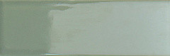 WOW Bits Kale Gloss 3.7x11.6