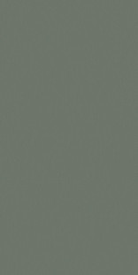 Tau Tornares Green Rec 60x120