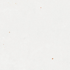 WOW Zellige White 12.5x12.5
