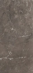 Rex Ceramiche Heritage luxe Brown Glossy 120x280