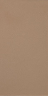 Casalgrande Padana R-evolution Terra 9mm 60х120
