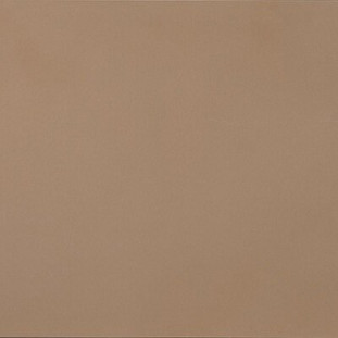 Casalgrande Padana R-evolution Terra 90x90