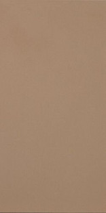 Casalgrande Padana R-evolution Terra 45х90