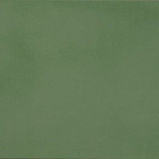 Casalgrande Padana R-evolution Green R10 9mm 60х60