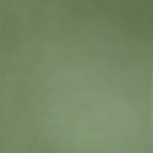 Casalgrande Padana R-evolution Green 10mm 60х60