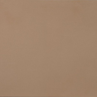 Casalgrande Padana R-evolution Terra 9mm 60х60