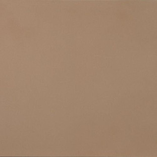 Casalgrande Padana R-evolution Terra 10mm 60х60