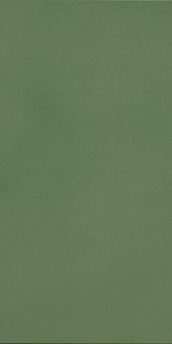 Casalgrande Padana R-evolution Green R10 10mm 30x60