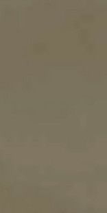 Casalgrande Padana R-evolution Terra 9mm 30х60