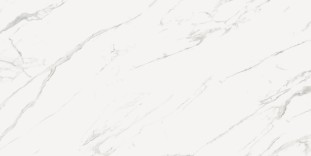 Casalgrande Padana Marmoker Statuario Grigio A Sp Honed 160x320