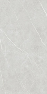 Tau Elite Big Sizes Silver 120x280