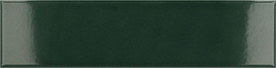Equipe Costa Nova Laurel Green Glossy 5x20