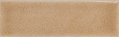 WOW Skin Biscuit Gloss 12.5x4