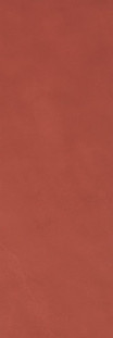 Fap Color line Marsala 25x75
