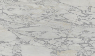 Venezia Stone Мрамор Arabescato Ango 20Mm