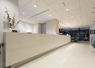 Venezia Stone EXTRA Мрамор Thassos Pure White Extra 20Mm