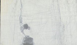 Venezia Stone Мрамор Arabescato Elegante 20Mm