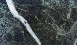 Venezia Stone Мрамор Veria Green Honed 20Mm