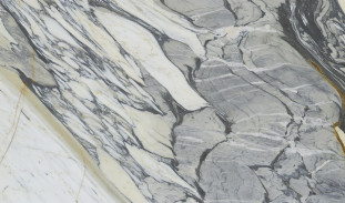 Venezia Stone Мрамор Arabescato Fantasy 20Mm