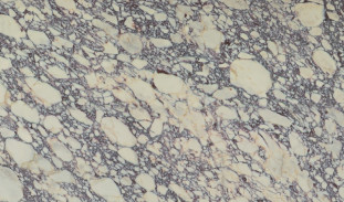 Venezia Stone EXTRA Мрамор Afyon Violet Extra 20Mm