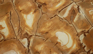Venezia Stone Кварцит Stone Wood 30Mm