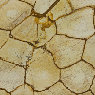 Venezia Stone Кварцит Breccia Romano 20Mm