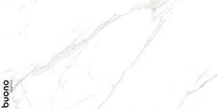 Buono Ceramica Marble Marble Carrara Livia glossy 60x120