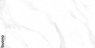 Buono Ceramica Marble Marble Carrara Anita glossy 60x120