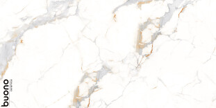 Buono Ceramica Marble Marble Aletta glossy 60x120