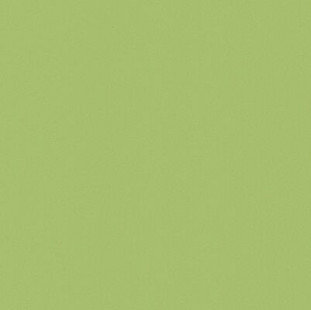 Casalgrande Padana Architecture Acid Green 60x60