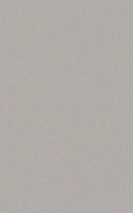 Casalgrande Padana Architecture Cool Grey 45x90