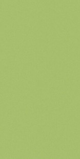 Casalgrande Padana Architecture Acid Green 30x60