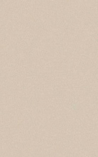 Casalgrande Padana Architecture Dark Ivory 45x90
