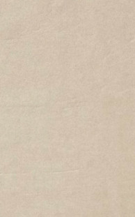 Casalgrande Padana Architecture Dark Ivory Antibacterial 45x90