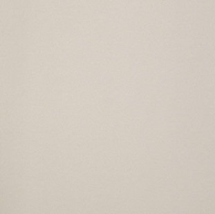 Casalgrande Padana Architecture Dark Ivory Antibacterial 60x60