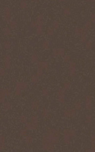 Casalgrande Padana Architecture Light Brown 45x90