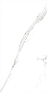 Casalgrande Padana Marmoker Statuario Grigio Honed 120x278