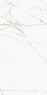 Casalgrande Padana Marmoker Titan White Honed 120x278