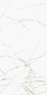 Casalgrande Padana Marmoker Titan White Lucido 120x240