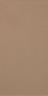 Casalgrande Padana R-evolution Terra 10mm 60x120