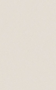 Casalgrande Padana Architecture White 10mm 45x90