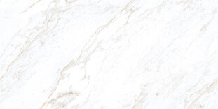 Buono Ceramica Marble Marble River Flow Endless glossy 60*120