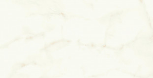Atlas Concorde Marvel Shine Marvel Calacatta Delicato 40x80 Shiny