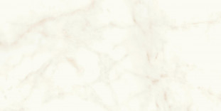 Atlas Concorde Marvel Shine Marvel Calacatta Delicato 60x120 Matt